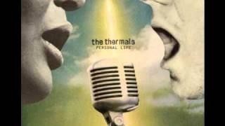 Now We Can See by The Thermals (lyrics)