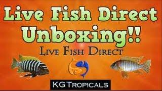 Live Fish Direct Unboxing!! 20% off your order PLUS $10 off for entering Tank Talk at check out!!