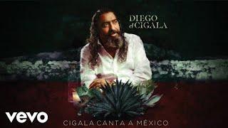 Diego El Cigala - Cenizas (Audio)