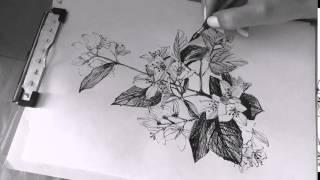 Speed drawing flowers jasmine by Katya Lisich 2015