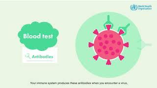 Different tests for COVID-19