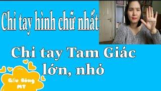 ĐƯỜNG CHỈ TAY TAM GIÁC LỚN VÀ NHỎ/ CHỈ TAY HÌNH CHỮ NHẤT(Gấu Bông MT)