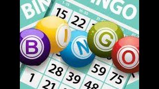 BINGO SPONSORED BY CRIS WEBER VLOG USA