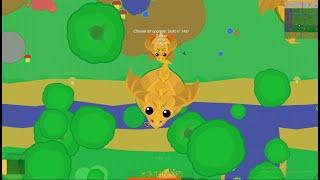 MOPE.IO NEW UPDATE |FARM RARES |GET KING DRAGON| KD 1V1 