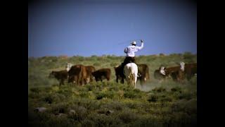 The Nevada Rangeland Resources Commission