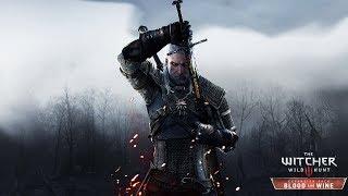 The Witcher 3 Wild Hunt  | ALL Weapon