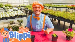 Blippi TEAHCES About Colours With Plants | Blippi's Educational Adventures for Kids | Moonbug Kids