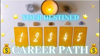 What CAREER is MEANT for you? Pick a Card Collaboration with @themotheroftarot4557 