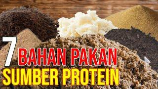 Bahan Pakan Sumber Protein Untuk Hewan Ternak Sapi