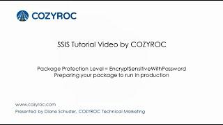 EncryptSensitiveWithPassword package protection level - SSIS tutorial For Beginners by COZYROC