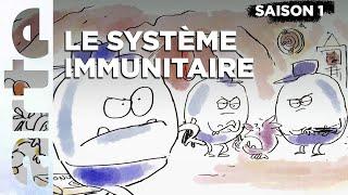 Immunologie | Tu mourras moins bête | SAISON 1 | ARTE