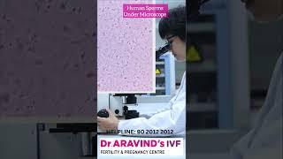 Human Sperms Under Microscope | Dr Aravind’s IVF | Best Infertility centre #draravindsivf