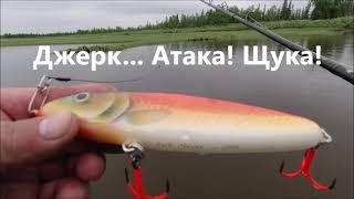 Джерк... Атака! Щука!