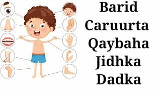 barid caruurta qaybaha jidhka  Q. 1aad 2020