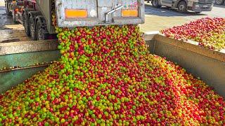 How Do They Make Incredible Natural Juice From Apples That Everyone Loves So Much?