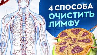 4 совета как очистить свой организм и похудеть. Лимфатическая система