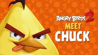 Angry Birds 2 – Meet Chuck: Good With Wood!