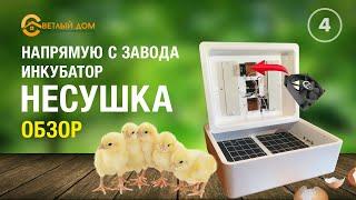 4. Обзор инкубатора Несушка. Инкубатор с переворотом яиц. Где купить домашний инкубатор?