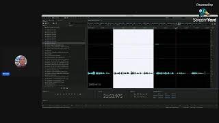 Editing in Adobe Audition