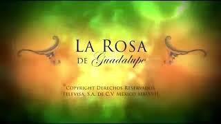 La Rosa de Guadalupe Capitulo completo -Trampa a media noche