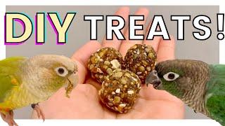 How to Make DIY Nutriberries | DIY Bird Treats