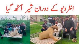 Lahore Da Lawa Akhtar Lawa | Lahore Da Pava Akhtar Lawa Funny Video | Tauqeer Baloch