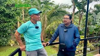 Magkano Kinikita ng Masipag na Katiwala sa Farm? Kapag Masipag Hindi Makakaisip ng Masama!