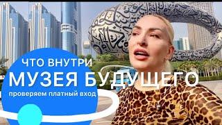 Что внутри Музея Будущего в Дубае?