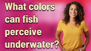 What colors can fish perceive underwater?