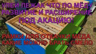 Улей ЛЕЖАК сколько мёда в лежаке РАМКИ ДЛЯ ОТКАЧКИ какие можно брать РАЗВИТИЕ И РАСШИРЕНИЕ ️