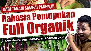 RAHASIA PEMUPUKAN FULL ORGANIK DARI TANAM SAMPAI PANEN. MAU.??? | Pupuk Tanaman Subur & Lebat