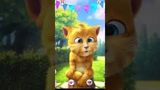 talking ginger funny cat videos    eating healthy foods  #cartoon #cat