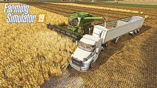 HARVESTING SOYBEANS & MOWING HAY - COUNTY LINE SEASONS FS19 (ROLEPLAY)