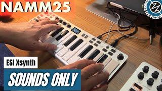 BAF 2025: ESI Xsynth - Sounds Only