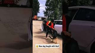 How dog fought with thief #shorts #dog