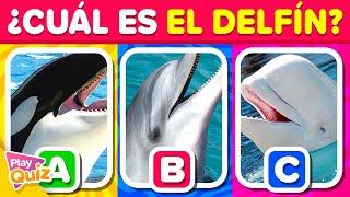 Adivina el Animal Correcto por La Foto  | Play Quiz de Animales