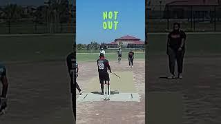 Stumping close-calls | Cricket Highlights | California #5