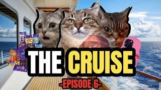 Cat MEMES: THE CRUISE - EPISODE 6