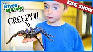 GIANT DEAD SPIDERS AND DINOSAUR FOSSILS!?!