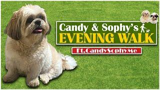 Candy & Sophy’s Evening Walk 