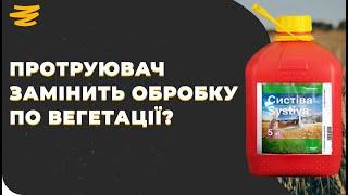 СИСТІВА - ПРОТРУЮВАЧ ЧИ ФУНГІЦИД?