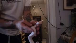 ball python box opening mike wilbanks banana pied