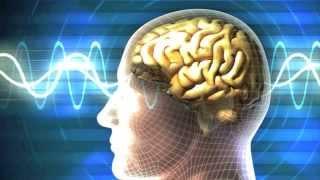 3rd Eye Healing & Energizing Meditation Midbrain Activation