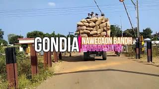 Navegaon Bandh | National park | Gondia | Tourist Place | MAHARASHTRA