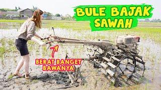 PERTAMA KALI ISTRI BULE BELAJAR BAJAK SAWAH / AUTO PULEN BERASNYA 