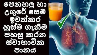 පෙනහලු හා උගුරේ සෙම ඉවත්කර හුස්මගැනීම පහසුකරන ස්වාභාවික පානය​ Remedy to Detox lungs - Sonduru Diviya