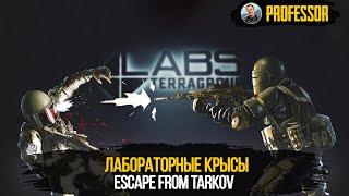 НАЧАЛО С 0.... - Escape from Tarkov
