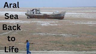 The Aral Sea