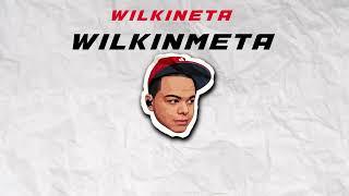 WilkinMeta Intro 4k