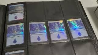 My Personal Magic The Gathering Collection Part 3 Foil Basic Lands - MTG